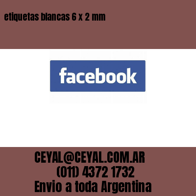 etiquetas blancas 6 x 2 mm