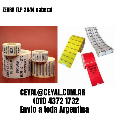 ZEBRA TLP 2844 cabezal