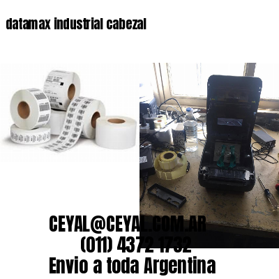 datamax industrial cabezal