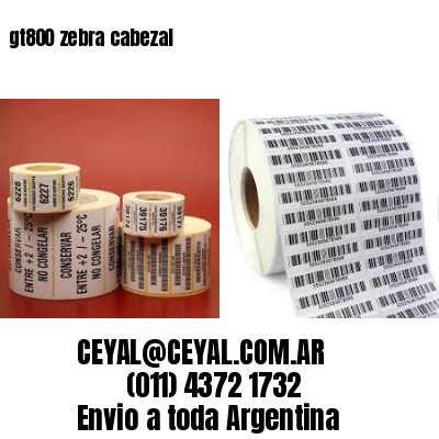 gt800 zebra cabezal