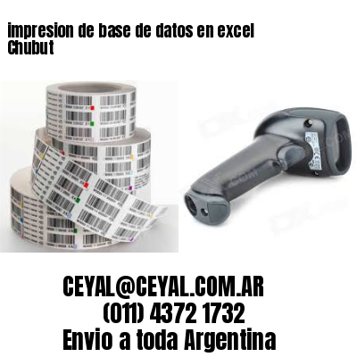 impresion de base de datos en excel Chubut