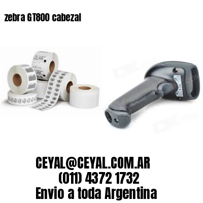 zebra GT800 cabezal