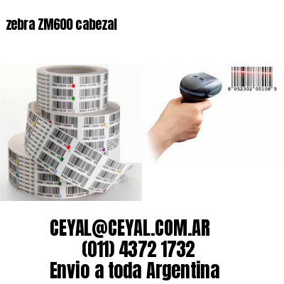 zebra ZM600 cabezal