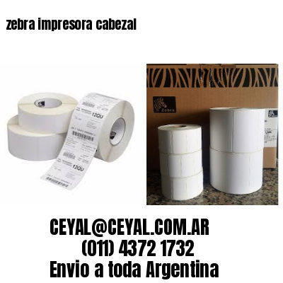 zebra impresora cabezal