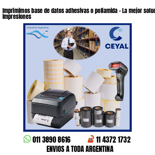 Imprimimos base de datos adhesivas o poliamida – La mejor solución en impresiones