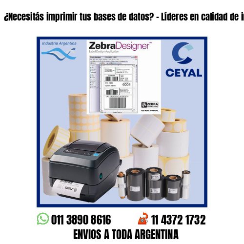 ¿Necesitás imprimir tus bases de datos? – Líderes en calidad de impresión!