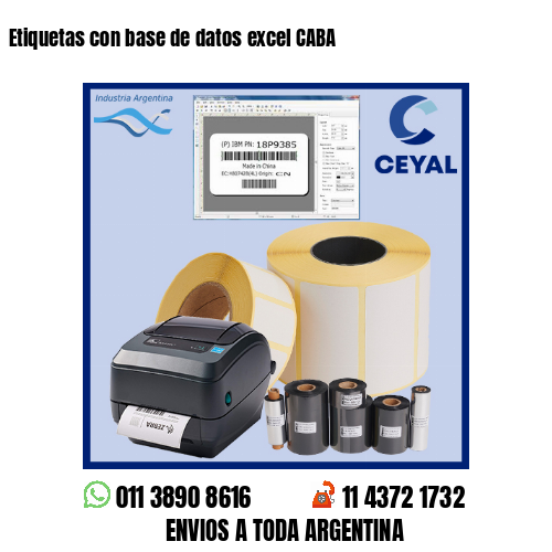 Etiquetas con base de datos excel CABA