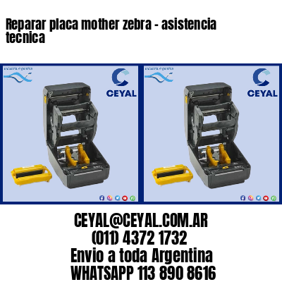 Reparar placa mother zebra – asistencia tecnica
